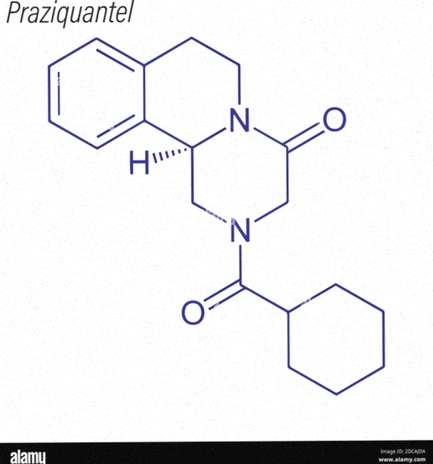 Biltricide generico
