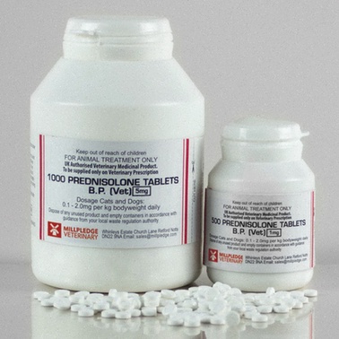 prednisolone
