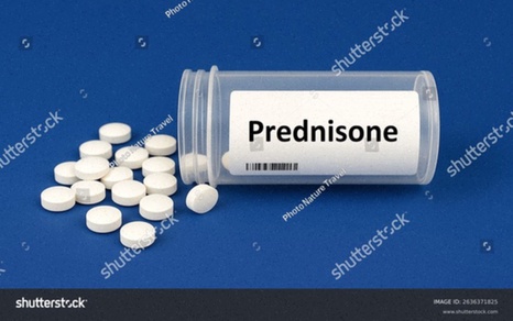 prednisone